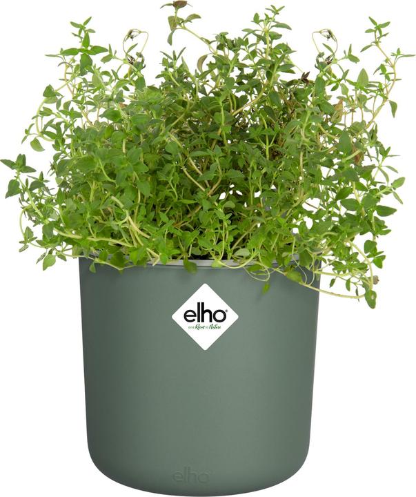 Produktbild Elho Happy Herbs (15 x 17 cm)