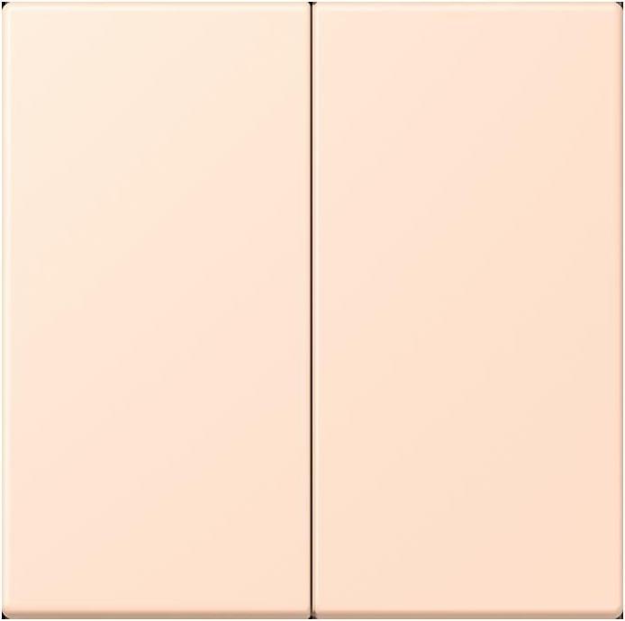 Produktbild JUNG Steuertaste