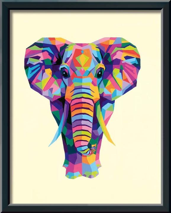 Actual product image Ravensburger Painting by numbers 28987 - Colorful elephant