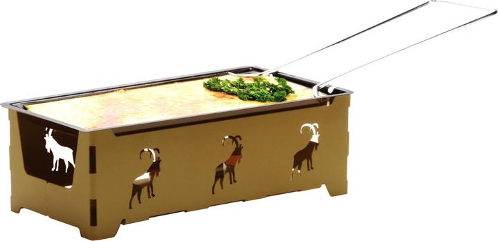 Nouvel Steinbock