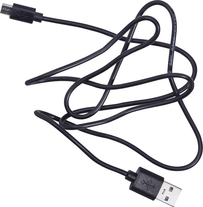 Actual product image micasa Bali (100 lm)