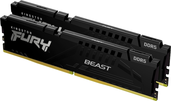 Kingston FURY Beast (2 x 32GB, 5600 MHz, DDR5 RAM, DIMM)