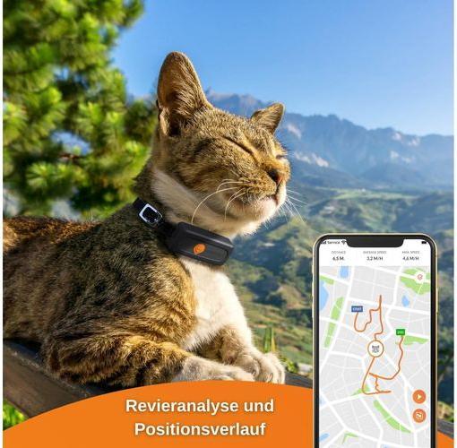 Produktbild Weenect GPS-Tracker XS für Katzen (Katze)