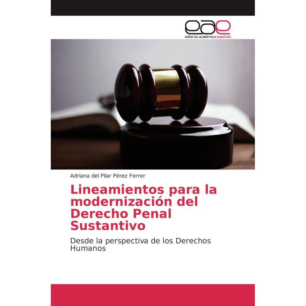 Lineamientos para la modernización del Derecho Penal Sustantivo, Fachbücher von Adriana del Pilar Pérez Ferrer
