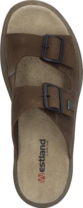 Actual product image Westland 45804-348 (47)