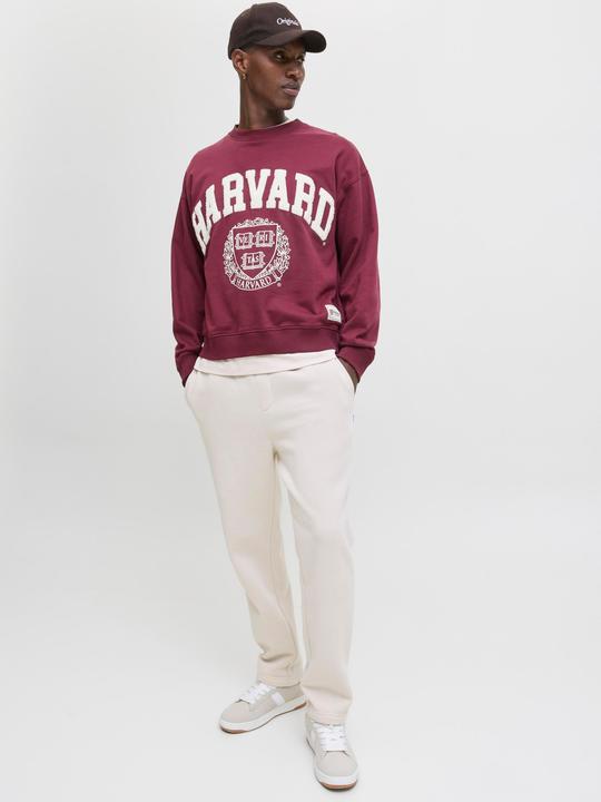 Produktbild Jack & Jones Jpstkane Bradley Uncuffed Swt Pants Noos (L)