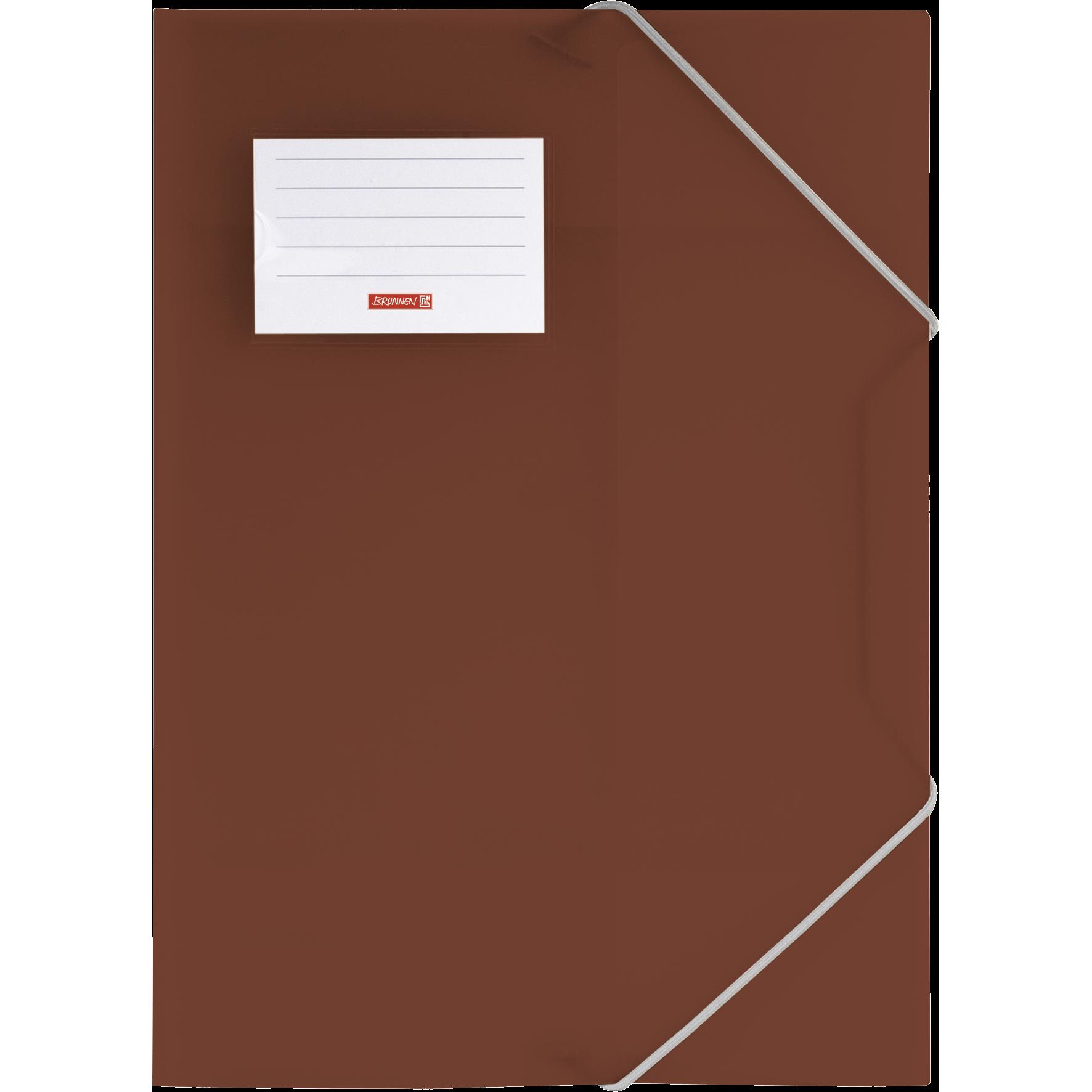 Brunnen, Mappe, Sammelmappe FACT!pp DIN A4 braun transparent (A4, 1 x)