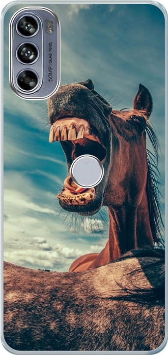 Lustiges Pferd