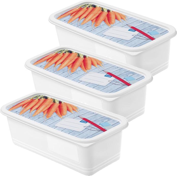 Image du produit Rotho Boîtes de congélation (1.20 l)