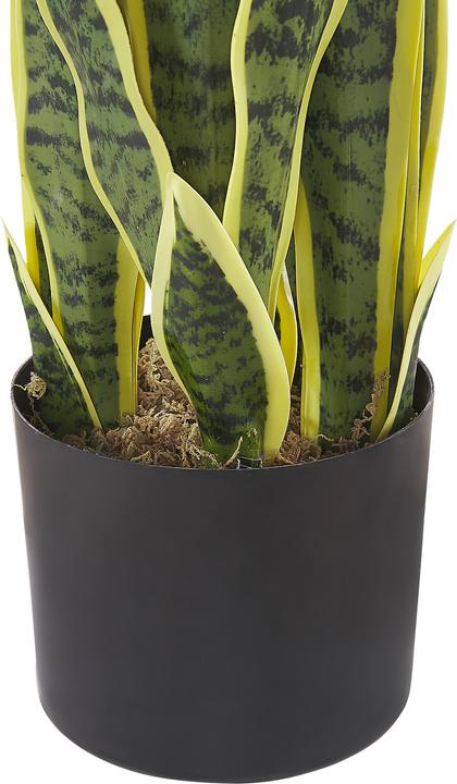 Immagine prodotto Beliani Snake Plant (63 cm)