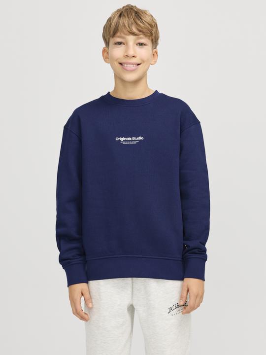 Image du produit Jack & Jones Jorvesterbro Sweat Crew Neck Noos Jnr (152)