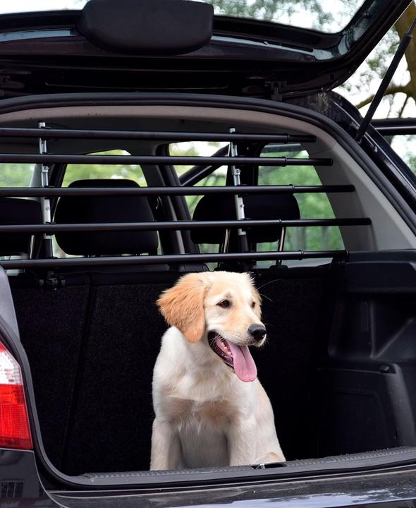 Actual product image Walky Dog Dog guard WALKY Barrier adjustable 82-141 cm (Dog, Reflectors)