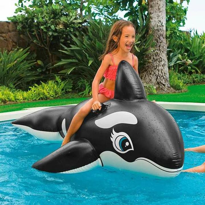 Actual product image Intex Whale