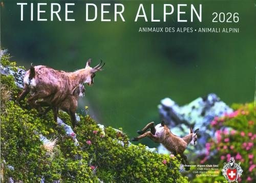 Produktbild Tiere der Alpen 2026