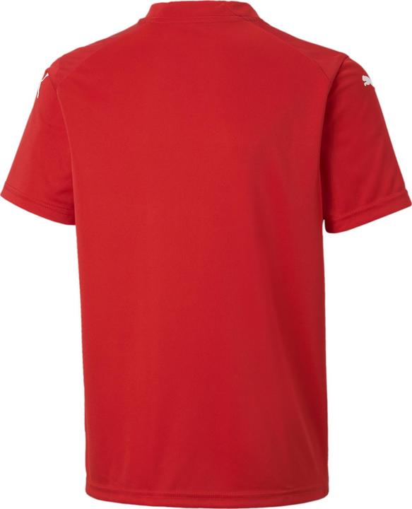 Produktbild Puma teamGLORY Jersey Jr (128)