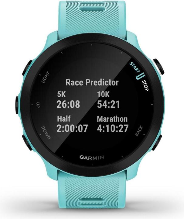 Productafbeelding Garmin Forerunner 55 (42 mm)