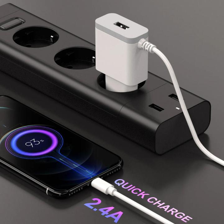 Actual product image DENMEN WEISSES USB-WANDLADEGERÄT + TYP-C-KABEL DC09T-W 2,4 A