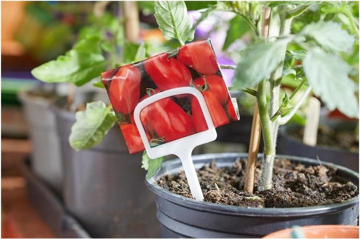 Immagine prodotto Samen Mauser Etichette a T, 10 pezzi, 12,5 cm