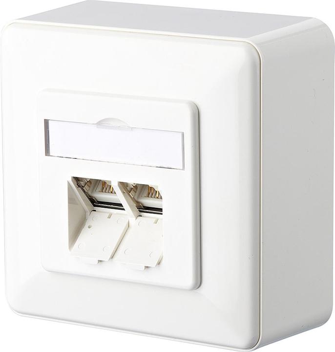 Metz Connect IT CONNECT E-DAT C6 8/8(8) AP Cat.6 - Wanddose
