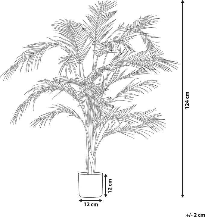 Immagine prodotto Beliani Areca Palm (124 cm)