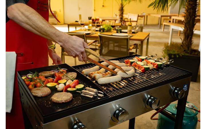 Produktbild Blaser + Trösch Companion Pro (14.04 kW)