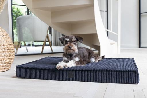 Immagine prodotto Designed by Lotte Cuscino per gabbia ortopedica a coste (Cane)