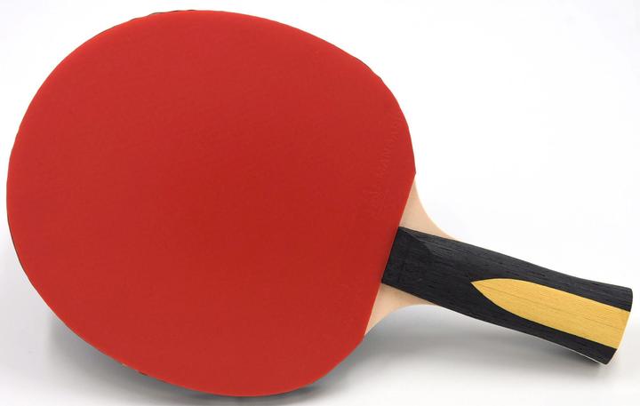 Actual product image Sunflex table tennis racket expert a30