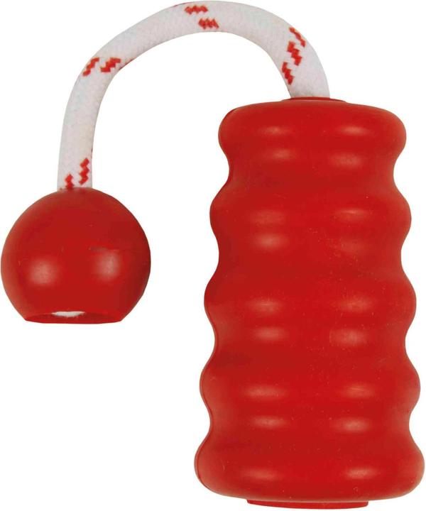 Produktbild Trixie Dog Activity Mot-Fun 9cm/22cm (Apportieren)