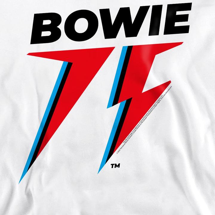 Immagine prodotto David Bowie 75 Felpa Logo Adulto Unisex (L)
