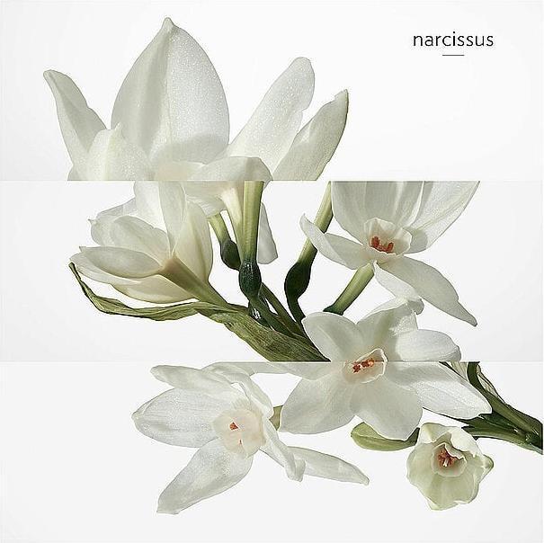 Produktbild Hermès H24 (Eau de Toilette, 100 ml)