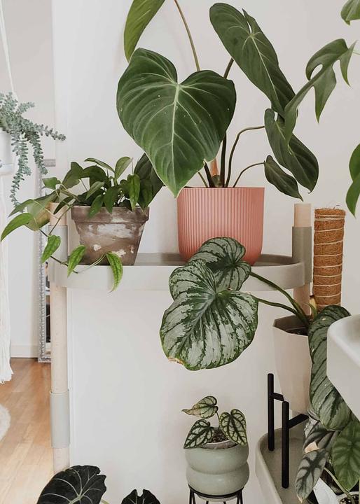 Image du produit CitySens Blumenregal