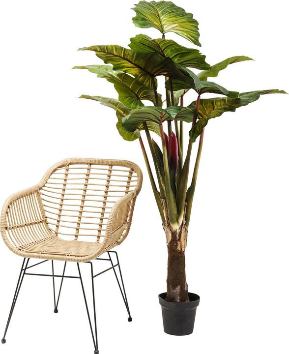 Produktbild Kare Design Rainforest (160 cm)