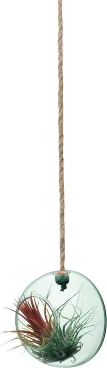 Immagine prodotto LSA Canopy (1x)