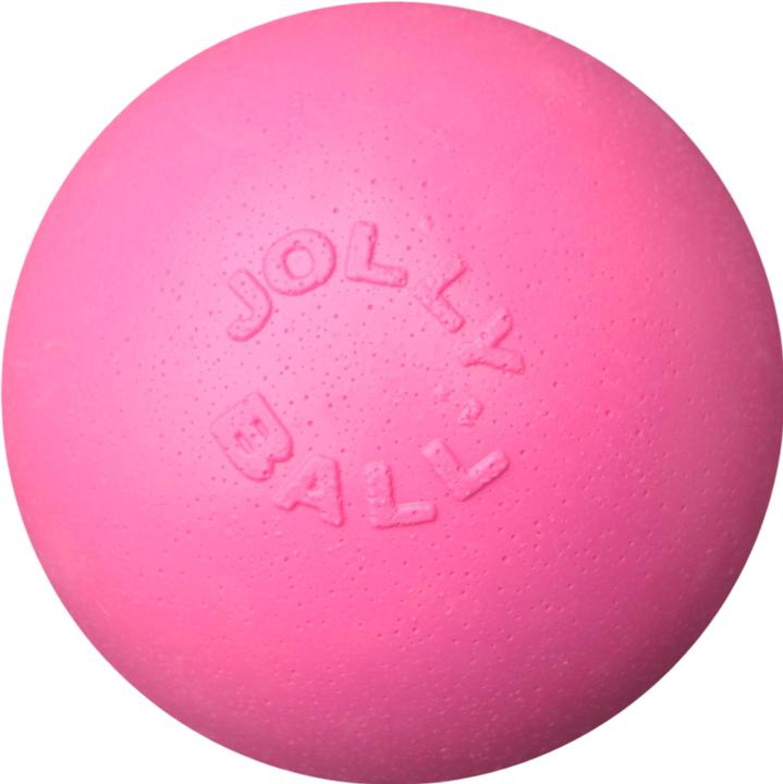 Immagine prodotto Jolly Pets Palla Bounce-n Play 20cm Rosa (odore di gomma da masticare) - (JOLL068M) (Palla giocattolo per cani)