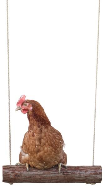 Produktbild Kerbl Hühnerschaukel 39 x Ø 5cm