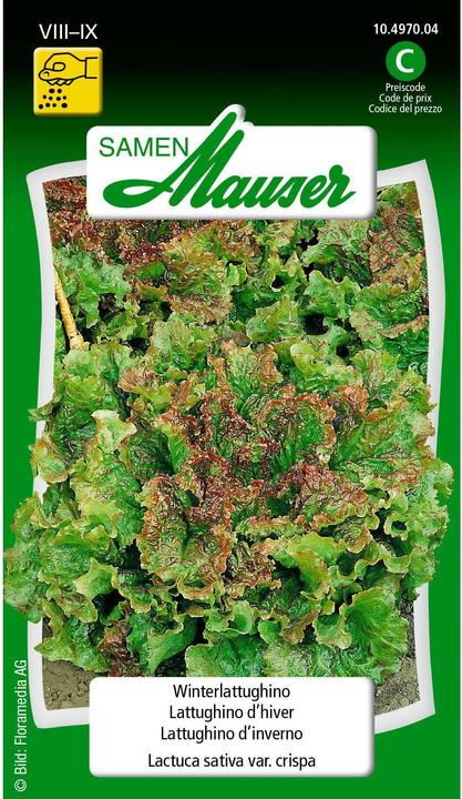 Image du produit Samen Mauser Lattughino d'hiver (Graines de légumes)