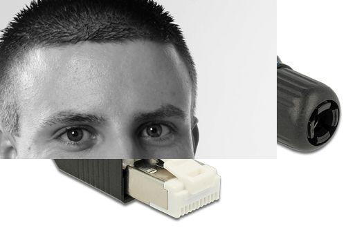 Image du produit Delock Connecteur RJ45 Cat.6A 1 pièce, noir (Câble réseau Connecteur)