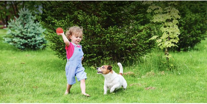 Produktbild TP-Link Tapo C425 KIT (2560 x 1440 Pixels)