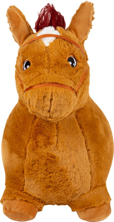 Actual product image small foot Bouncy horse