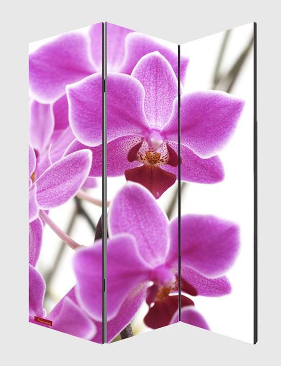 Actual product image JOHN316 Paravent