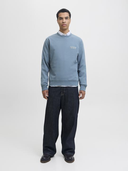 Produktbild Jack & Jones Jjedetroit Sweat Crew Neck Styd Aw25 (L)