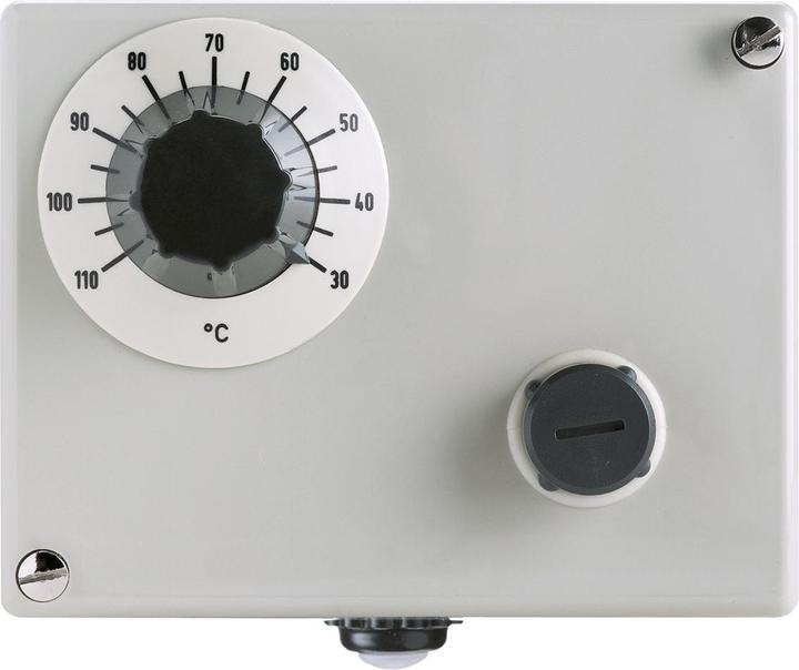 Actual product image Jumo Double thermostat