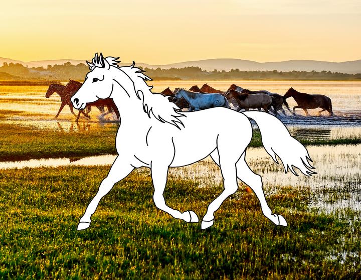 Produktbild Traumpferde-Malbuch: Strand & Meer