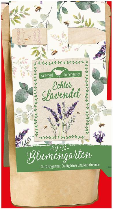Produktbild Brunnen Echter Lavendel (Blumensamen)