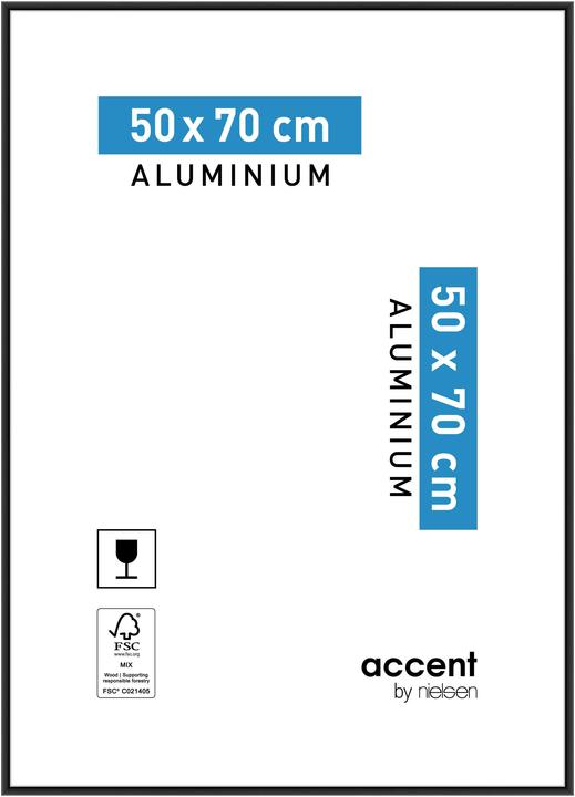 Image du produit Nielsen Accent (50 x 70 cm)