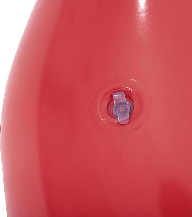 Actual product image Bestway Scentsational Raspberry Pool Float