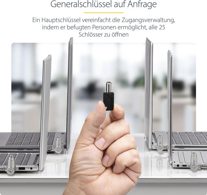 Productafbeelding StarTech COM 25-Pack Universele Laptopsloten 2m Hoofdsleutel Veiligheidsslot Noble Wedge/Nano/K-Slo