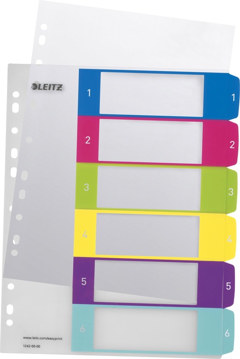 Leitz WOW PC-beschriftbares Register