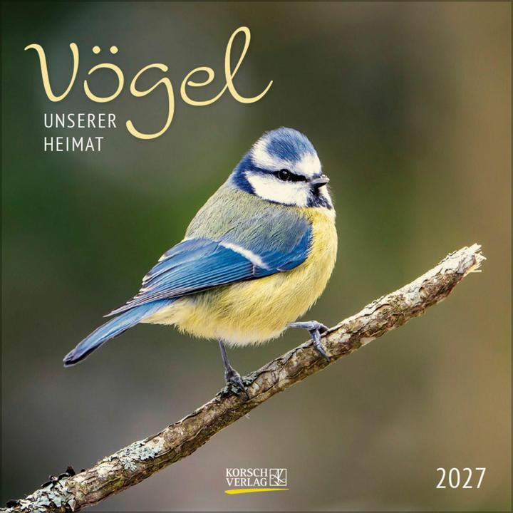 Produktbild Vögel 2027 (30 x 30 cm)