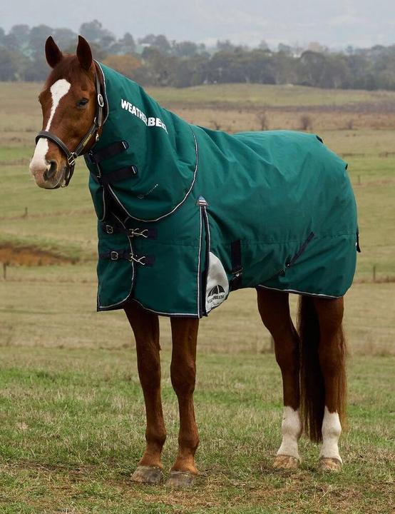 Produktbild Weatherbeeta Comfitec Plus Dynamic 220g (155 cm)